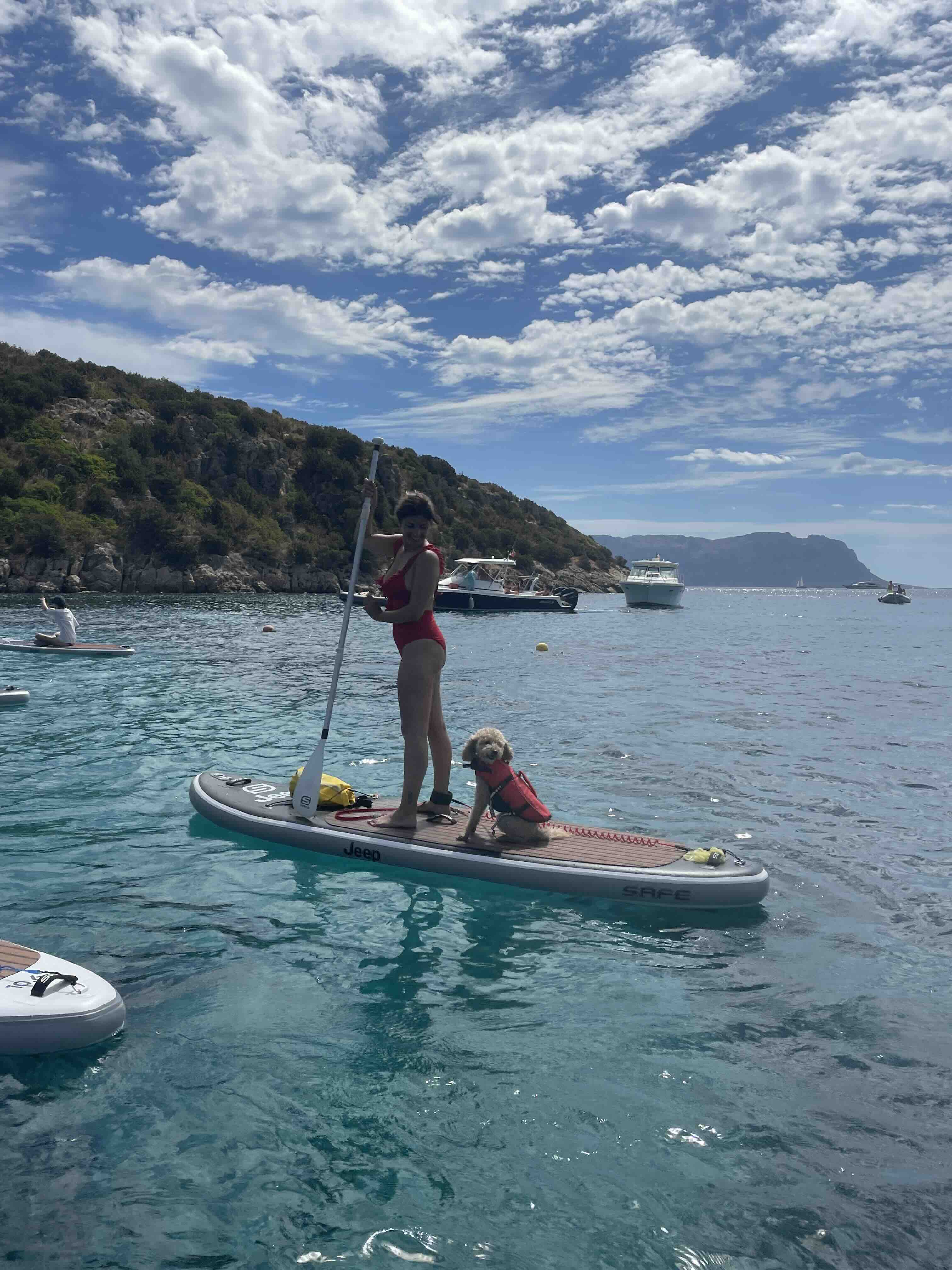 SUP Experience with your Dog — photo 3