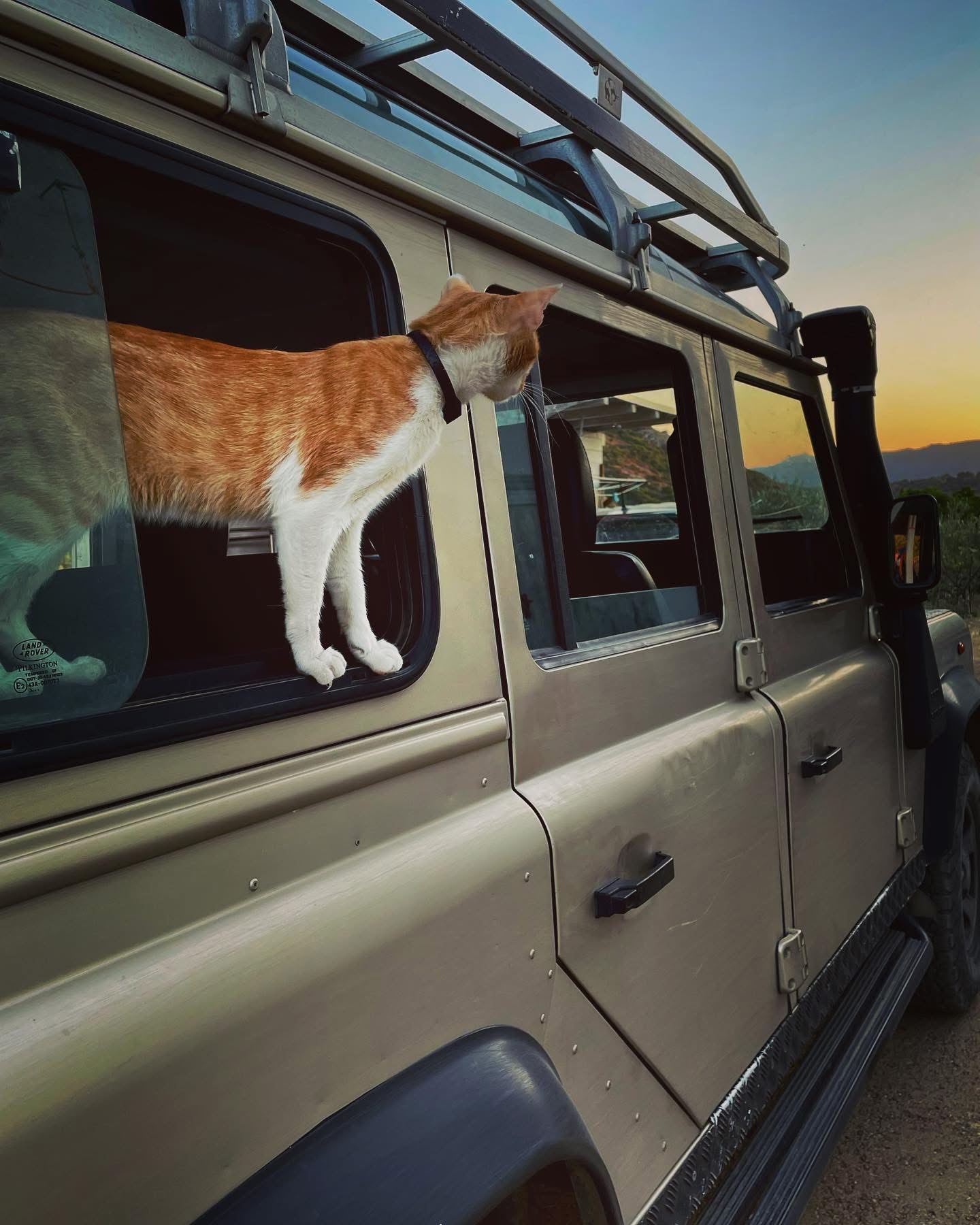 From San Teodoro: 4x4 Off-Road Tour Orgosolo — photo 3