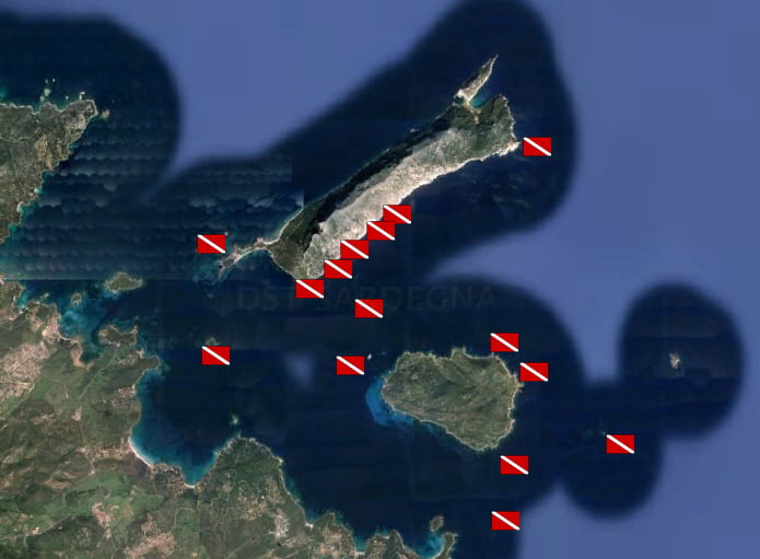 Da Olbia: Immersioni nell’Area Marina Protetta – Secche, pareti e relitti — photo 5