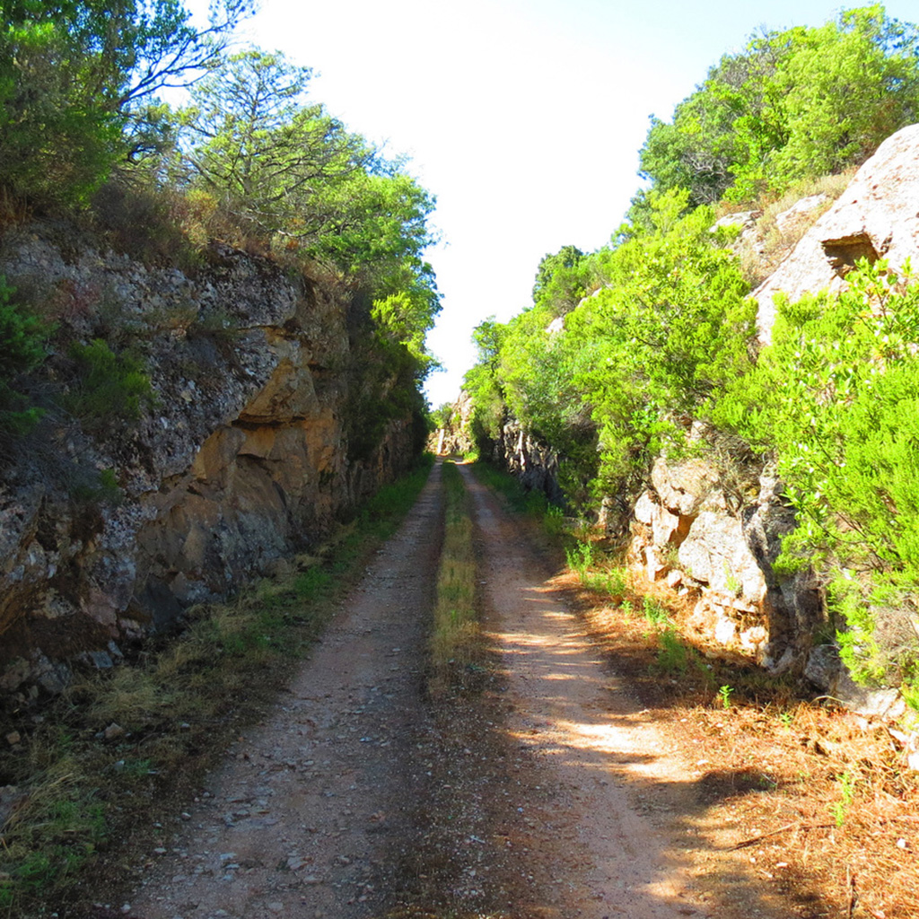 From San Pantaleo: e-Bike Tour through the Gallura Countryside — photo 2