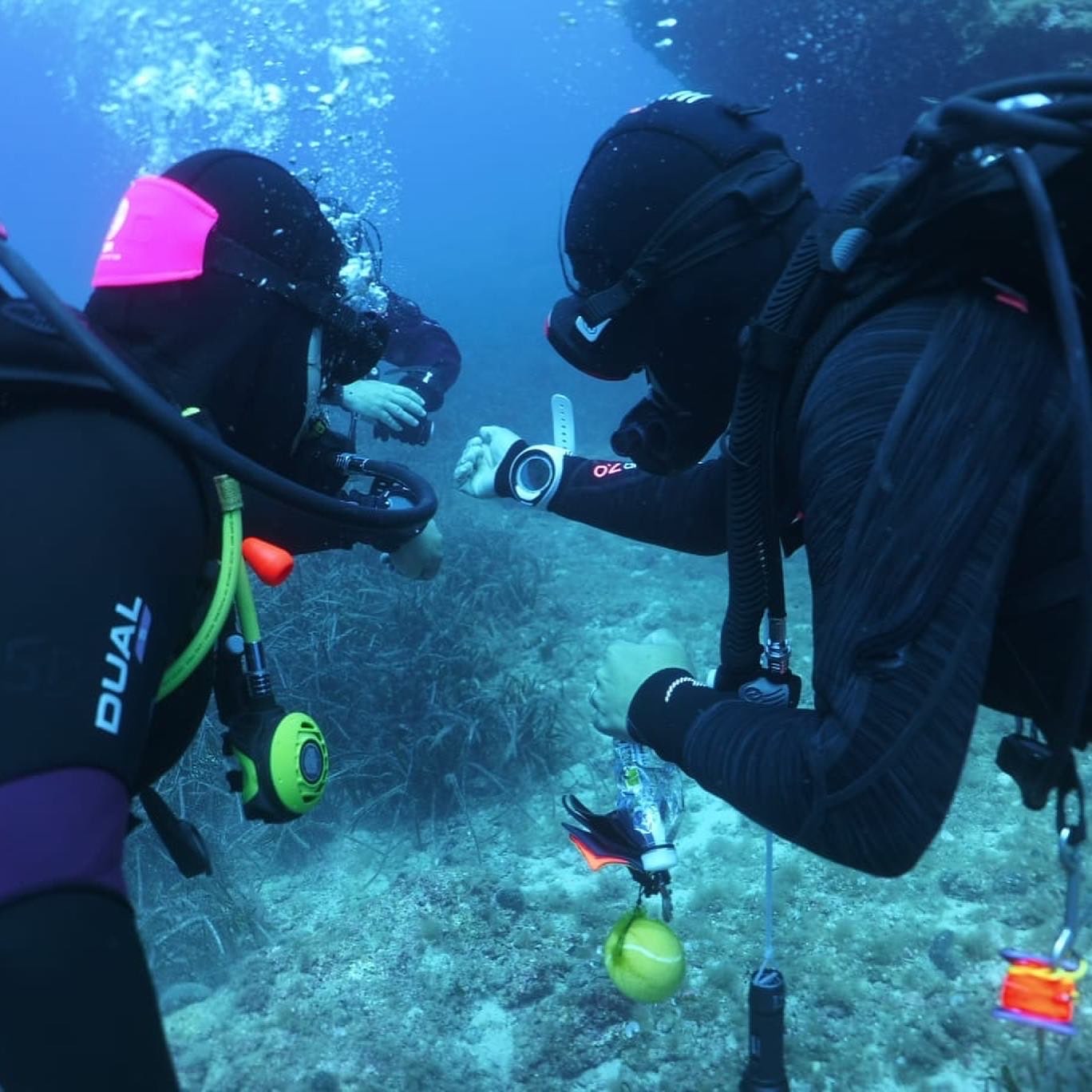 PADI Open Water Diver Course – Get Your Scuba Certification in Golfo Aranci — photo 2