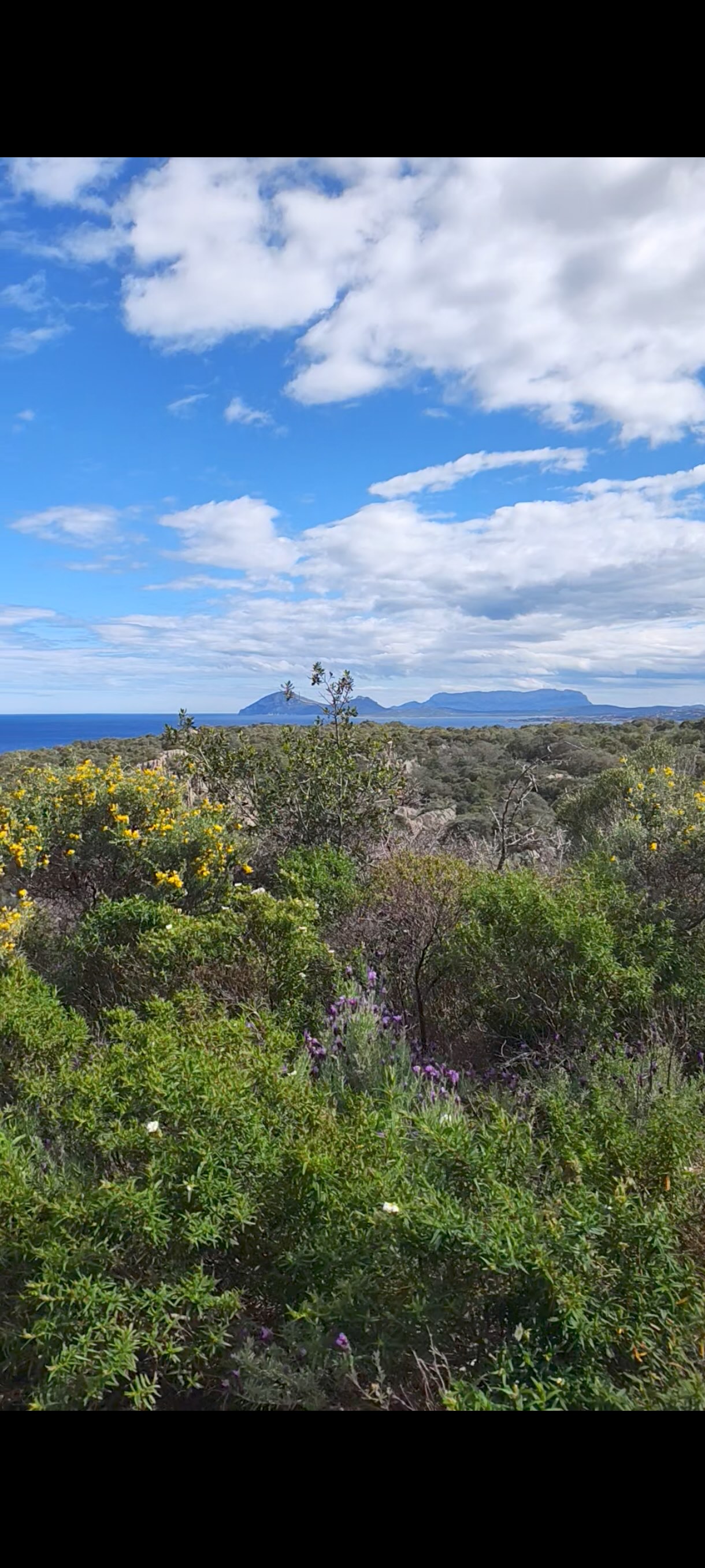 Monte Moro Sunset E-Bike Ride — photo 4