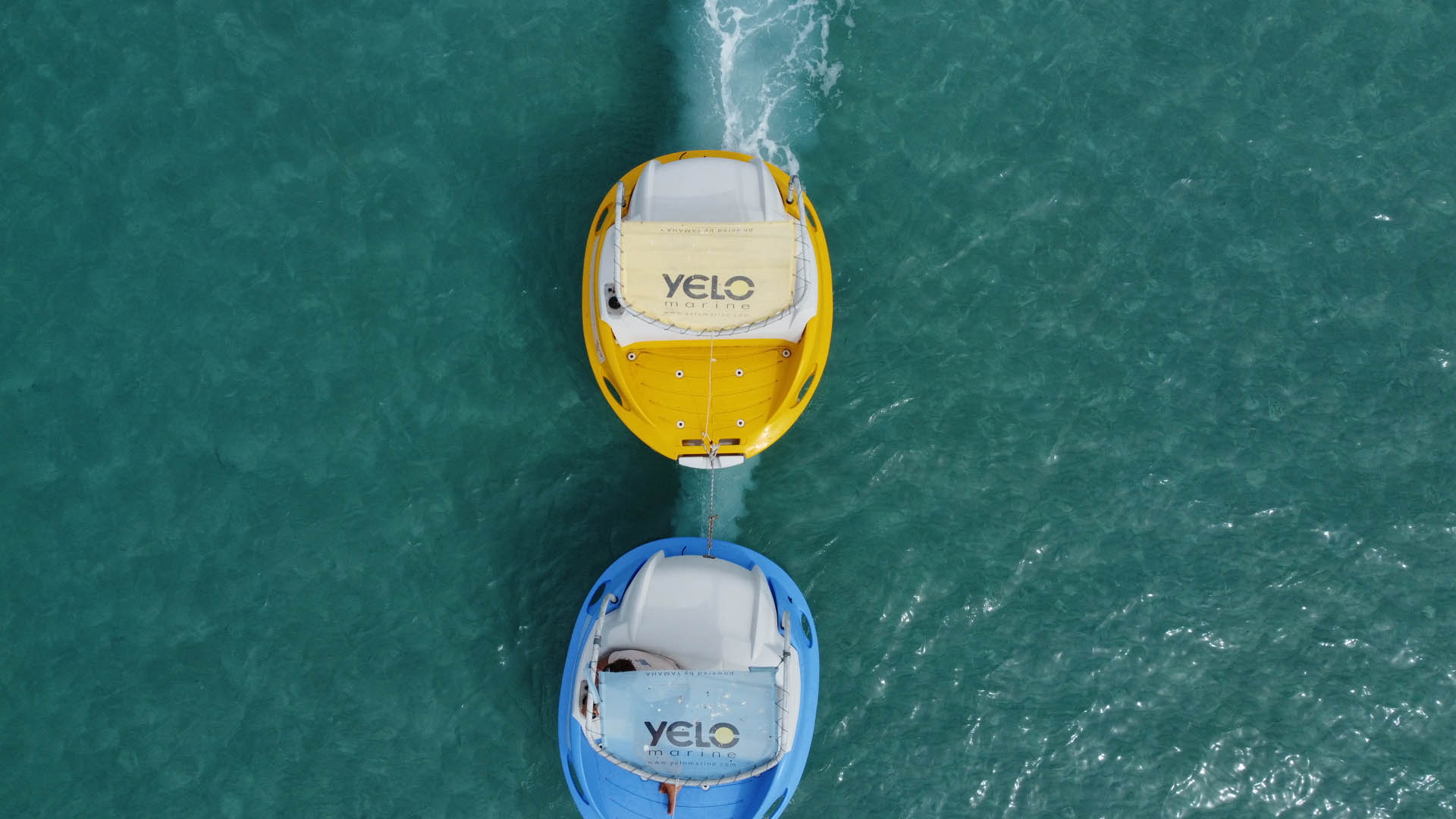 From Porto Rotondo: Yelo Marine Rental — photo 2